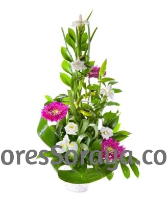 Cesta de Flor Bambú