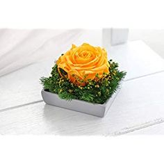 Rosa Preservada, Regalo de San Valentín, Rosa Eterna, Floristería Online, Rosas Naturales, Floristerías en Veguellina de Órbigo, Floristería Soraya